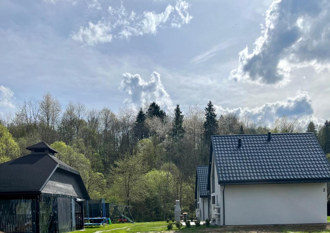 Domki Nad Starym Potokiem Ustrzyki Dolne Buitenkant foto